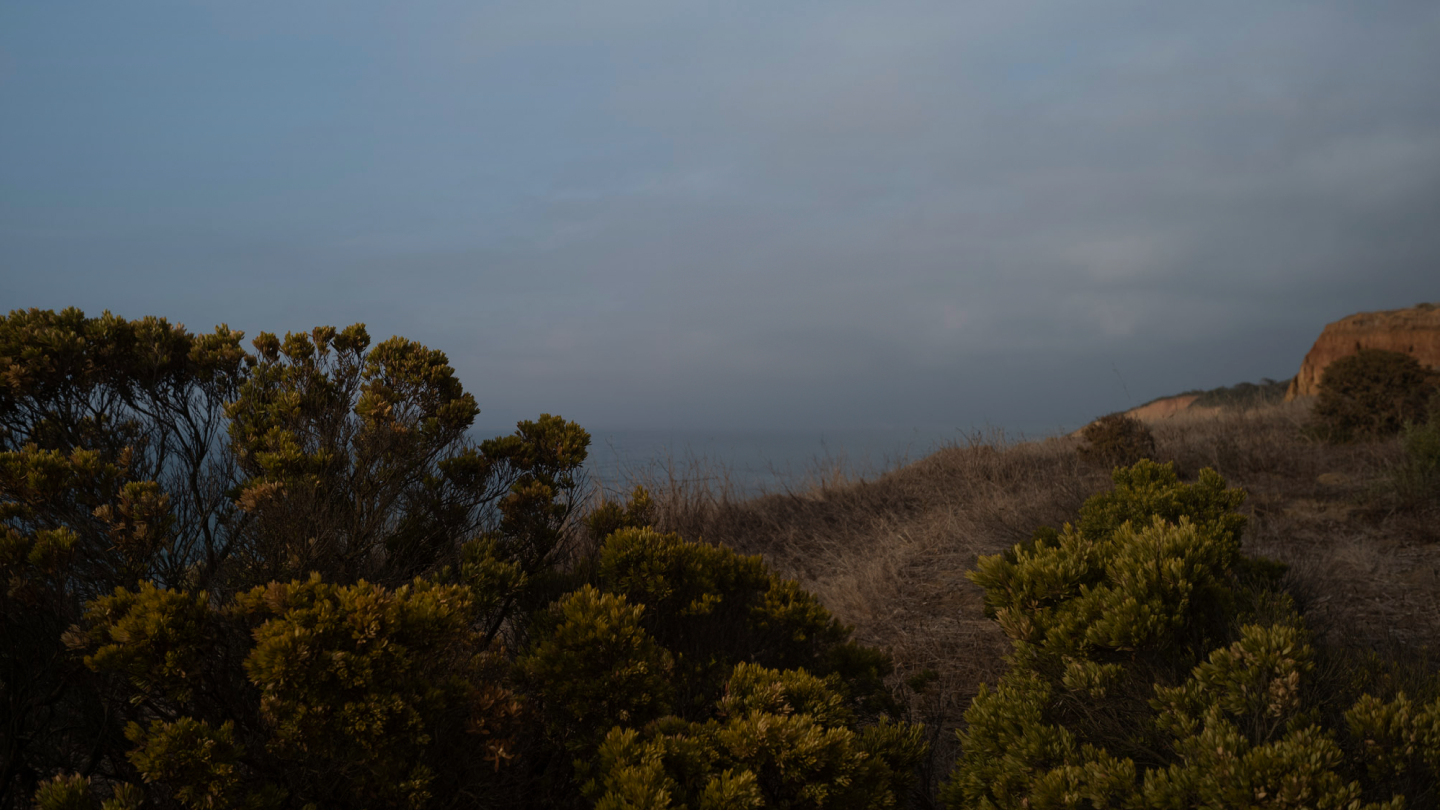 Australian scenic landscape