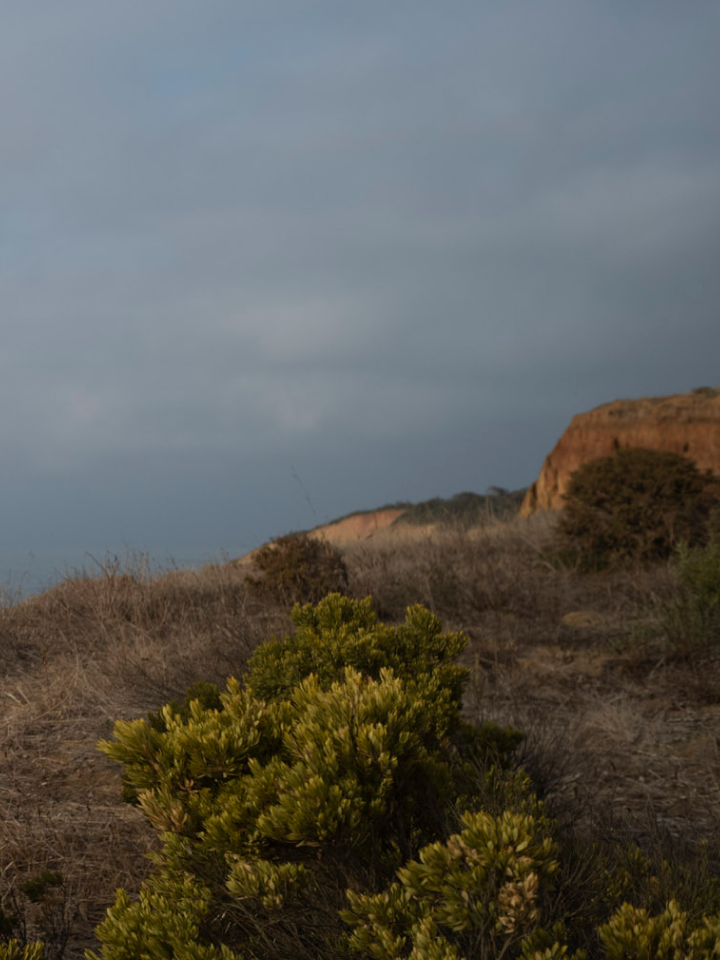 Australian scenic landscape